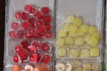 アンティーク雑貨　透明感のあるカラーが魅力のビンテージボタンセット