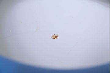 アンティーク雑貨　ノリタケ・則武(日陶) 　風情ある竹モチーフの火鉢(手あぶり、鉢カバー、傘立て)