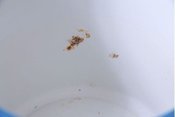 アンティーク雑貨　ノリタケ・則武(日陶) 　風情ある竹モチーフの火鉢(手あぶり、鉢カバー、傘立て)