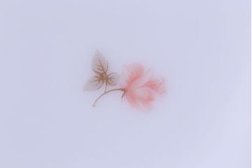 アンティーク雑貨　中古　大倉陶園　金彩　小さなバラ柄の小皿3枚セット(洋食器)