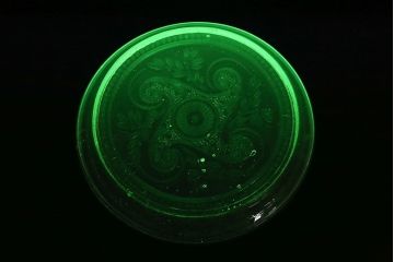 アンティーク雑貨　フランスビンテージ　ウランガラス製　リキュールグラス4つとプレートのセット(ガラス杯、酒器、脚付コップ)