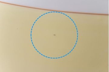 アンティーク雑貨　中古　オールドノリタケ(則武・日陶)　菊牡丹文がレトロな火鉢(鉢カバー、手あぶり)