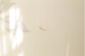 アンティーク雑貨　ノリタケ・則武(日陶)　昭和初期　牡丹の図　小さな火鉢(手あぶり、鉢カバー)(2)