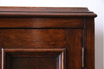 アンティーク家具　イギリスアンティーク　オーク材　シックな雰囲気が魅力のブックシェルフ(本棚、飾り棚)