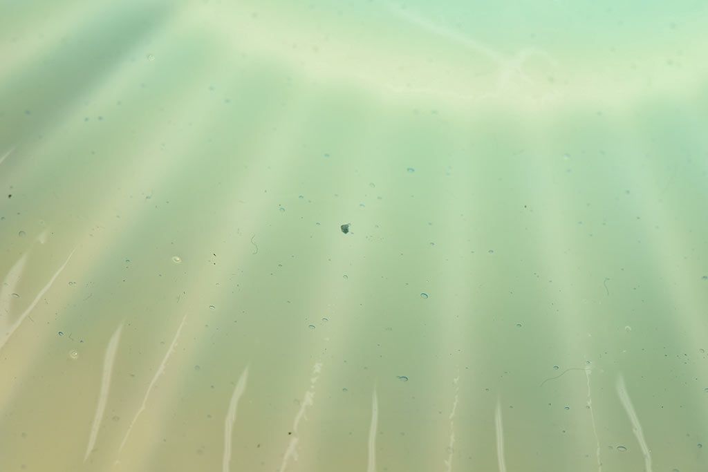 レトロな雰囲気漂う青色のシェード(電笠、天井照明)