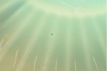 レトロな雰囲気漂う青色のシェード(電笠、天井照明)