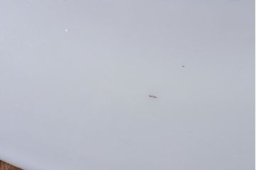 和製アンティーク　白いガラスの平笠シェードがレトロな雰囲気を醸すペンダントライト(天井照明、吊り下げ照明)(2) 2ヶセット