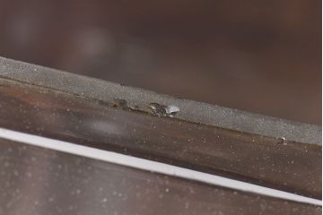 アンティーク雑貨　昭和レトロ　味わい深い風合いのオリエンタルカレーのガラスビン(角瓶)