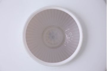 大正〜昭和初期　特大　レトロな陽刻照明(天井照明、ペンダントライト、シェード)