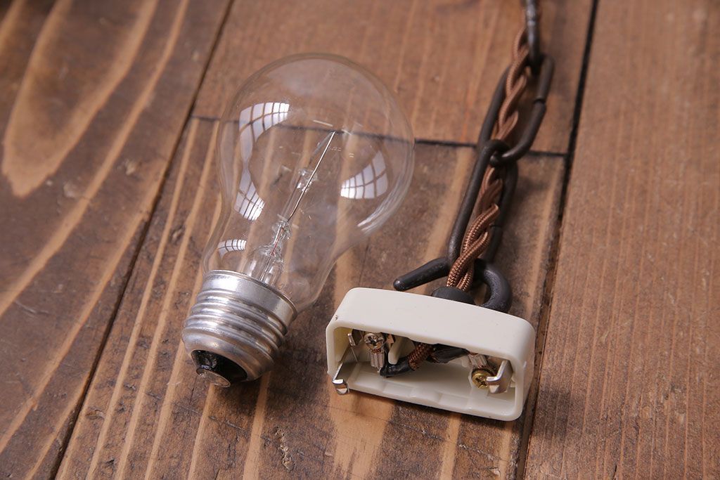 大正〜昭和初期　特大　レトロな陽刻照明(天井照明、ペンダントライト、シェード)