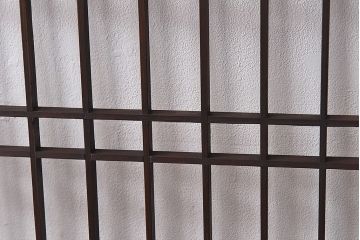 和製アンティーク　細い桟の格子が上品な帯戸(ガラス帯戸、引き戸、格子戸、建具)2枚セット