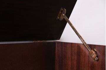 アンティーク家具　イギリスアンティーク　マホガニー材のシックなオーディオキャビネット(キャビネット)