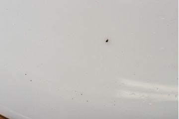 昭和レトロ　シンプルな白い笠が魅力的なシェード(電笠)(2)