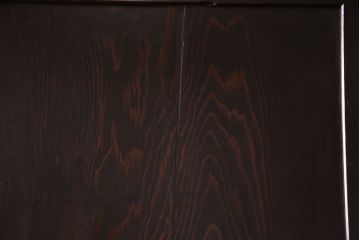 【商談品】古民具　古さを感じる木の質感　明治期の板戸(引き戸、建具)3枚組