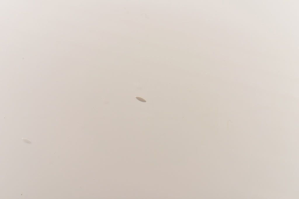 昭和レトロ　上品さを醸し出すブラケットのウォールランプ(壁掛け照明、ライト)