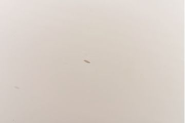 昭和レトロ　上品さを醸し出すブラケットのウォールランプ(壁掛け照明、ライト)