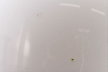 すっきりとして可愛らしい球型ガラス天井照明(ペンダントライト、吊り下げ照明)