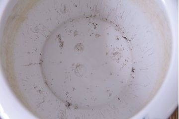 アンティーク雑貨　オールドノリタケ(則武・日陶)　星RC印　松・鳳凰図　上品な火鉢(手あぶり)
