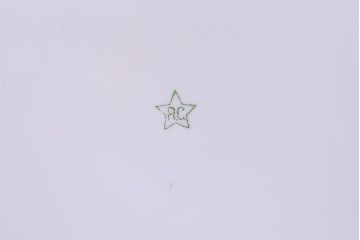 アンティーク雑貨　オールドノリタケ(則武・日陶)　星RC印　松・鳳凰図　上品な火鉢(手あぶり)