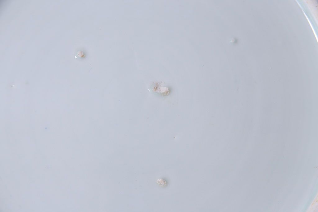 幕末明治期　一尺三寸　染付　竹唐草大皿(和食器)