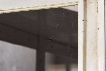 アンティーク家具　【展示品】和製アンティーク　オリジナルペイントが可愛らしいケビント(ガラスケース、収納棚、飾り棚)