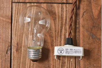 オールドノリタケ(則武、日本陶器)　味わいのある柿の図の電灯笠(シェード、ペンダントライト、吊り下げ照明)