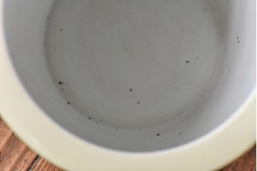 アンティーク雑貨　オールドノリタケ・則武(日陶) 緑地　白菊文様　小振りな壱型火鉢(手あぶり、鉢カバー)
