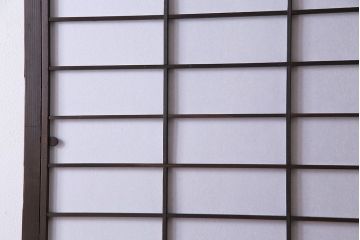 和製アンティーク　細い桟が美しい裏障子付き格子戸(建具、引き戸、ガラス帯戸)