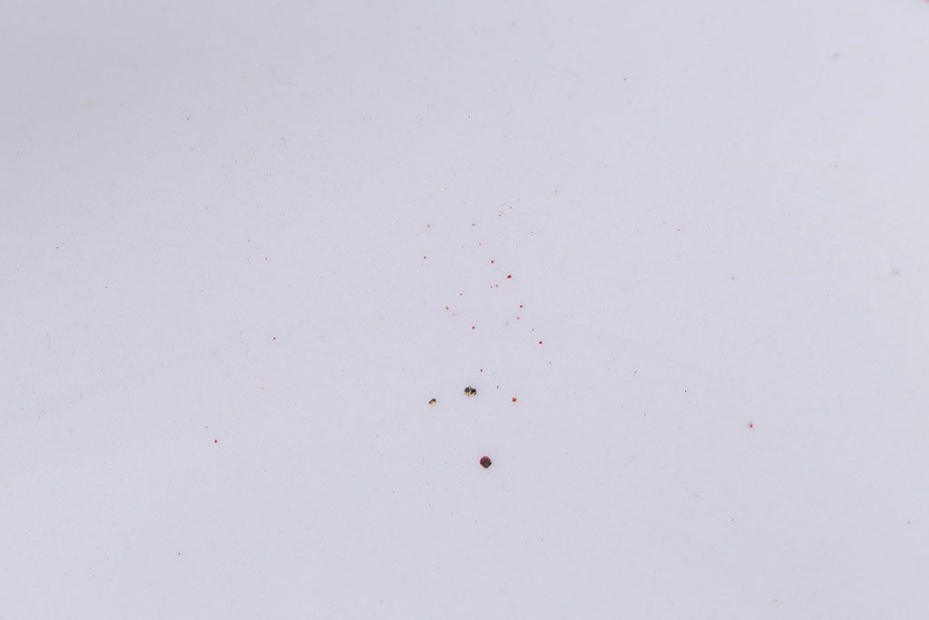 アンティーク雑貨　イギリス製　IRONSTONE　ワインレッドの縁がアクセントのオーバルプレート(長皿)