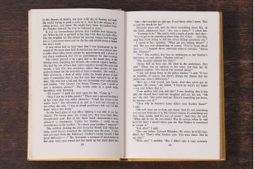 アンティーク雑貨　イギリスアンティーク　古い趣が魅力的な本(洋書、古書、英字本)3冊セット(1)