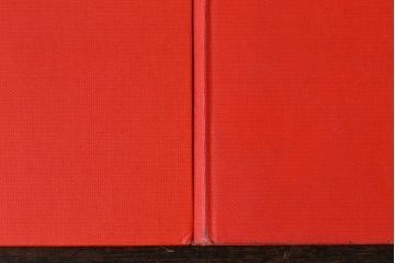 アンティーク雑貨　イギリスアンティーク　飾るだけで様になる本(洋書、古書、英字本)3冊セット(2)