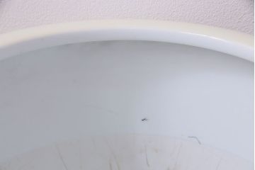 アンティーク雑貨　オールドノリタケ(則武・日陶)　ヤジロベー印　イエローローズ　火鉢
