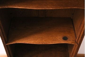 アンティーク家具　イギリスアンティーク　オーク材　シックな細身のブックケース(本棚、陳列棚、収納棚)