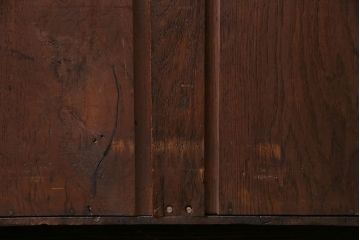 アンティーク家具　イギリスアンティーク　オーク材　シックな細身のブックケース(本棚、陳列棚、収納棚)