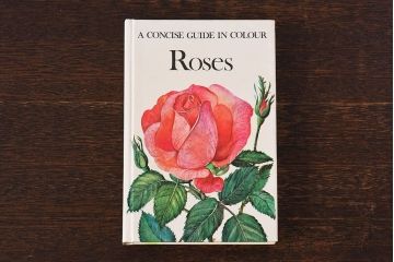 アンティーク雑貨　イギリス　HAMLYN社 A Concise Guide in Colour　Roses　コンパクトハンドブック(洋書、ポケット辞典、本)