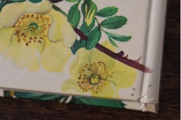 アンティーク雑貨　イギリス　HAMLYN社 A Concise Guide in Colour　Roses　コンパクトハンドブック(洋書、ポケット辞典、本)