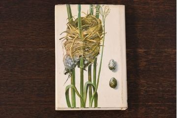 アンティーク雑貨　イギリス　HAMLYN社 A Concise Guide in Colour　Birds'Eggs and Nests　コンパクトハンドブック(洋書、ポケット辞典、本)