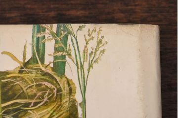 アンティーク雑貨　イギリス　HAMLYN社 A Concise Guide in Colour　Birds'Eggs and Nests　コンパクトハンドブック(洋書、ポケット辞典、本)