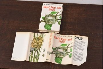 アンティーク雑貨　イギリス　HAMLYN社 A Concise Guide in Colour　Birds'Eggs and Nests　コンパクトハンドブック(洋書、ポケット辞典、本)