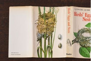 アンティーク雑貨　イギリス　HAMLYN社 A Concise Guide in Colour　Birds'Eggs and Nests　コンパクトハンドブック(洋書、ポケット辞典、本)
