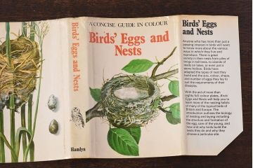 アンティーク雑貨　イギリス　HAMLYN社 A Concise Guide in Colour　Birds'Eggs and Nests　コンパクトハンドブック(洋書、ポケット辞典、本)