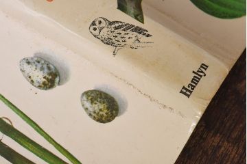 アンティーク雑貨　イギリス　HAMLYN社 A Concise Guide in Colour　Birds'Eggs and Nests　コンパクトハンドブック(洋書、ポケット辞典、本)