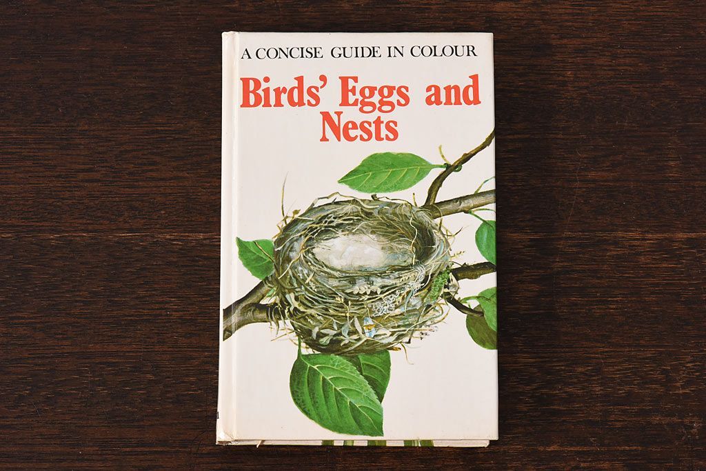 アンティーク雑貨　イギリス　HAMLYN社 A Concise Guide in Colour　Birds'Eggs and Nests　コンパクトハンドブック(洋書、ポケット辞典、本)
