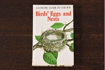 アンティーク雑貨　イギリス　HAMLYN社 A Concise Guide in Colour　Birds'Eggs and Nests　コンパクトハンドブック(洋書、ポケット辞典、本)