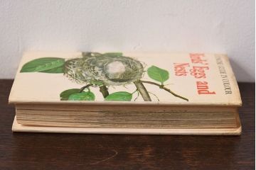 アンティーク雑貨　イギリス　HAMLYN社 A Concise Guide in Colour　Birds'Eggs and Nests　コンパクトハンドブック(洋書、ポケット辞典、本)