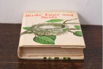 アンティーク雑貨　イギリス　HAMLYN社 A Concise Guide in Colour　Birds'Eggs and Nests　コンパクトハンドブック(洋書、ポケット辞典、本)
