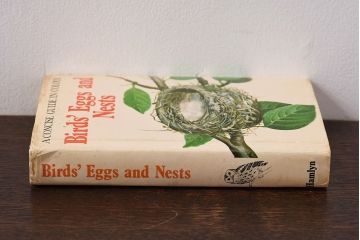 アンティーク雑貨　イギリス　HAMLYN社 A Concise Guide in Colour　Birds'Eggs and Nests　コンパクトハンドブック(洋書、ポケット辞典、本)