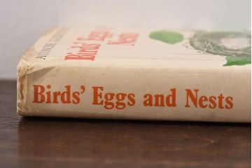 アンティーク雑貨　イギリス　HAMLYN社 A Concise Guide in Colour　Birds'Eggs and Nests　コンパクトハンドブック(洋書、ポケット辞典、本)