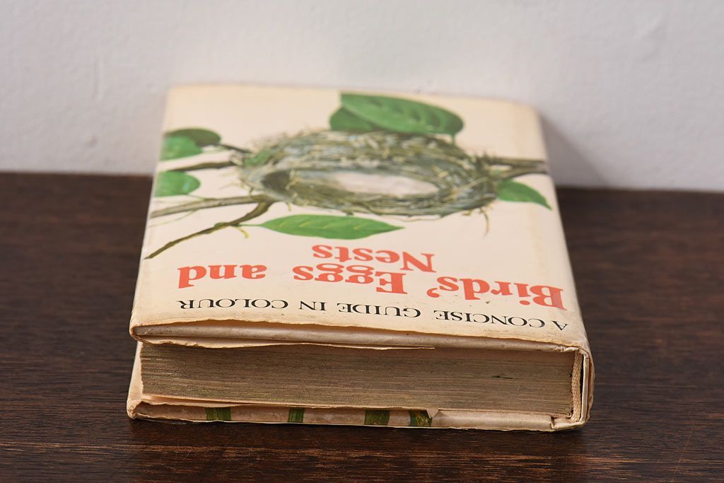 アンティーク雑貨　イギリス　HAMLYN社 A Concise Guide in Colour　Birds'Eggs and Nests　コンパクトハンドブック(洋書、ポケット辞典、本)