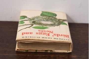 アンティーク雑貨　イギリス　HAMLYN社 A Concise Guide in Colour　Birds'Eggs and Nests　コンパクトハンドブック(洋書、ポケット辞典、本)